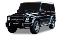 G AMG